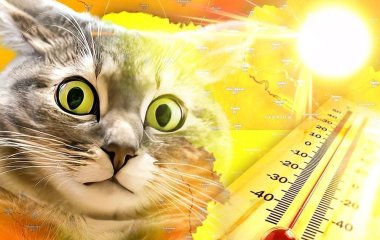 Вчені б'ють на сполох: 2024 рік може стати найспекотнішим за всю історію