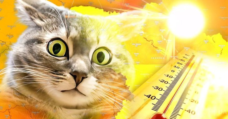 Вчені б'ють на сполох: 2024 рік може стати найспекотнішим за всю історію