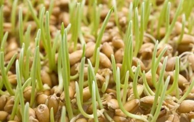Названий продукт, що допомагає швидко схуднути