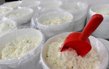 Дієтолог розповіла про непоєднувані з сиром продукти