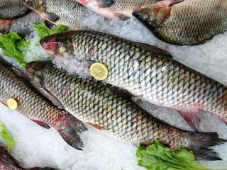 Почему нужно употреблять рыбу: преимущества и недостатки продукта