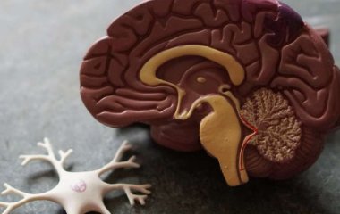 Медики назвали 12 продуктов, способных предотвратить сердечный приступ