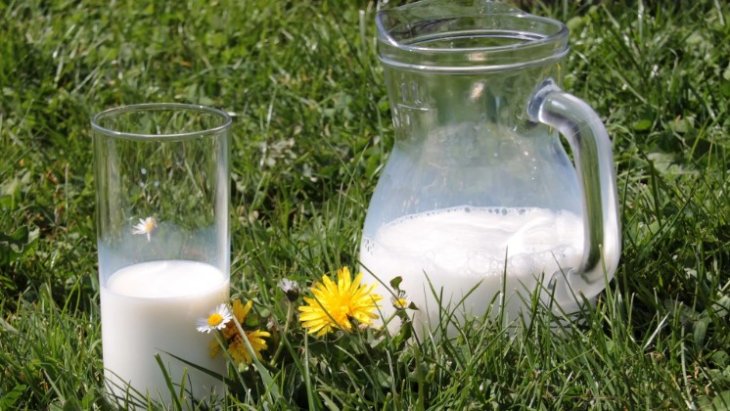 Лікарі з'ясували, від якої хвороби можуть захистити молочні продукти
