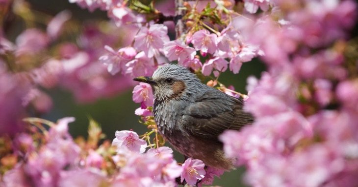 День ангела 28 квітня: кого та як вітати з іменинами