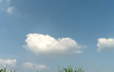 День ангела 23 серпня: кого та як вітати з іменинами