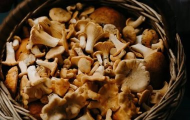 Чотири продукти, які вам потрібні цієї осені