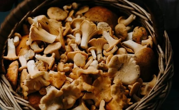 Чотири продукти, які вам потрібні цієї осені
